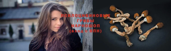 экстази Алексин